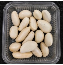 Ready to Use - Jack Seeds (100 gm Plastic Box)